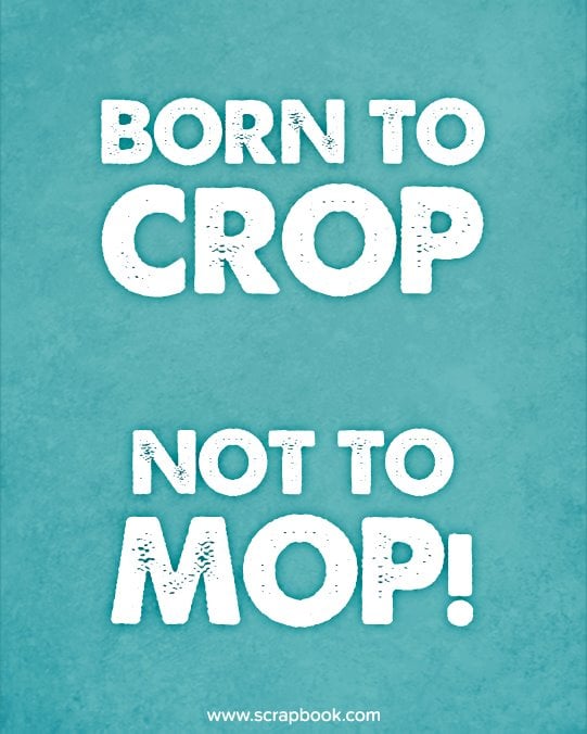 Born to Crop, Not to Mop