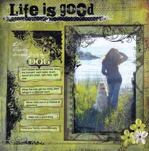 Life is Good, Life lessons learned from my Dog