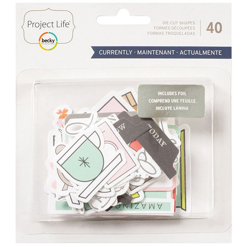 Becky Higgins - Project Life - Currently Edition Collection - Ephemera with Foil Accents