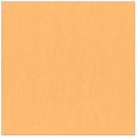 Bazzill - 12 x 12 Cardstock - Burlap Texture - Clementine