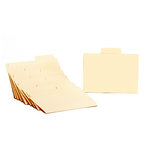 7 Gypsies - Naked Manila Folder - Mini 7 Gypsies - Naked Manila Folder - Mini