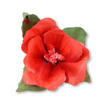 Sizzix - Susan's Garden Collection - Thinlits Die - Die Cutting Template - Flower, Hibiscus Sizzix - Susan's Garden Collection - Thinlits Die - Die Cutting Template - Flower, Hibiscus