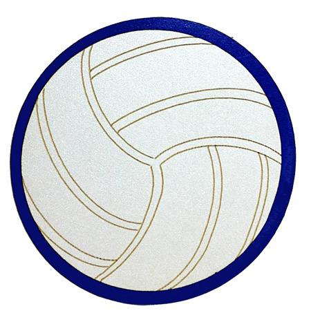 Volleyball essay