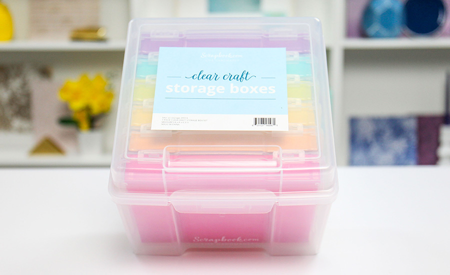 Photo Storage Box Clear Photo Boxes for Storage, Plastic Photo Organizer  for Seeds, Cards, Crafts, Stickers