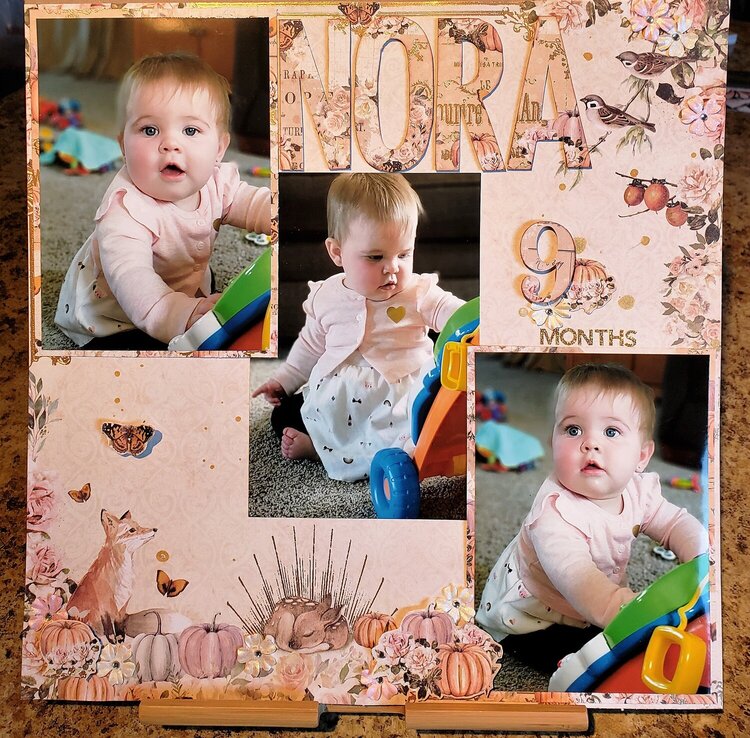 * Nora 9 Months Old *