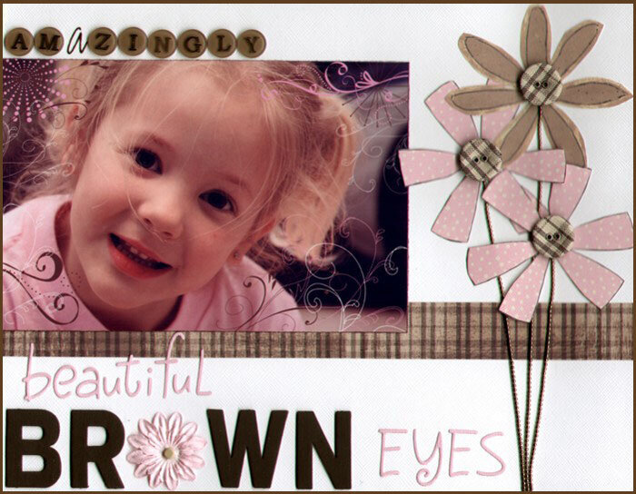 Amazingly Beautiful Brown  Eyes *Junkitz*