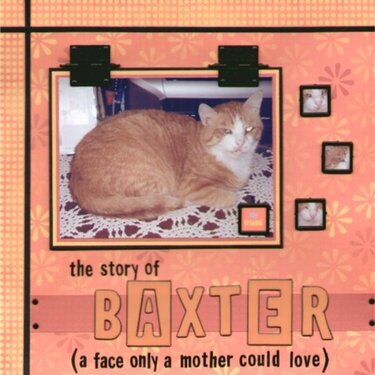 The Story of Baxter... A Face Only A Mother Could Love
