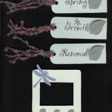 Spring tag and frames