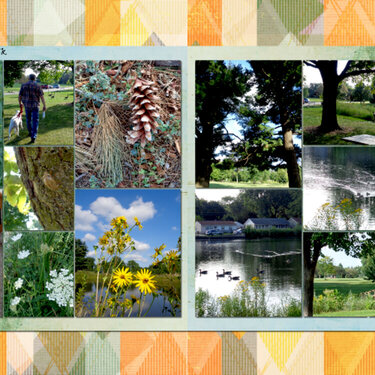 Random, anyday walk in the park