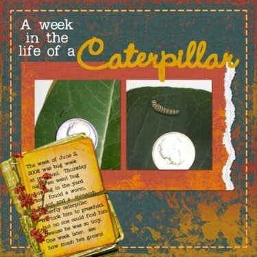 A Week in the Life of a Caterpillar