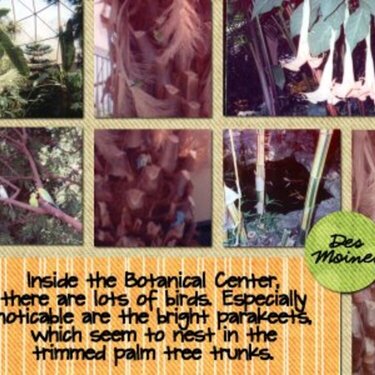 Botanical Center Parakeets