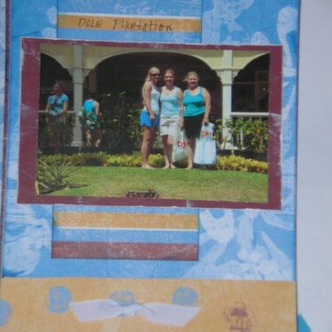 Hawaii Memory Project for Mom P.9
