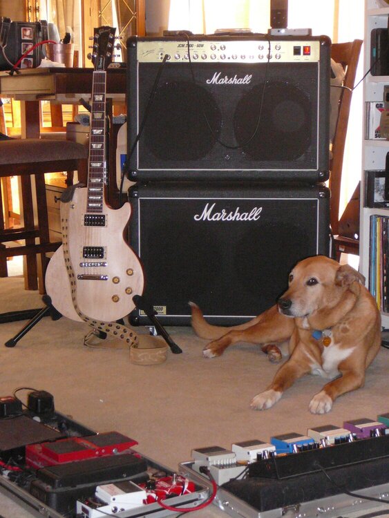 Nicky with Alex&#039;s amp, guitar and pedals