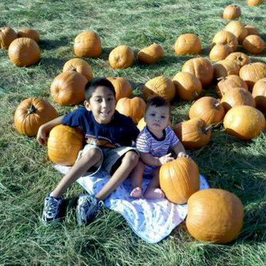 Pumpkin Pickin&#039; 2009