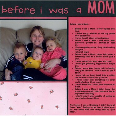 Before I Was a Mom...
