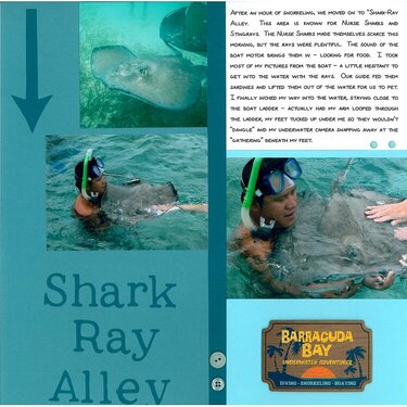 Shark-Ray Alley