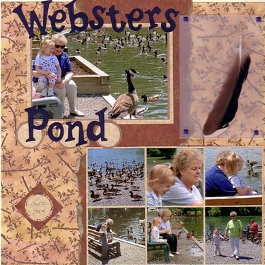 Websters Pond