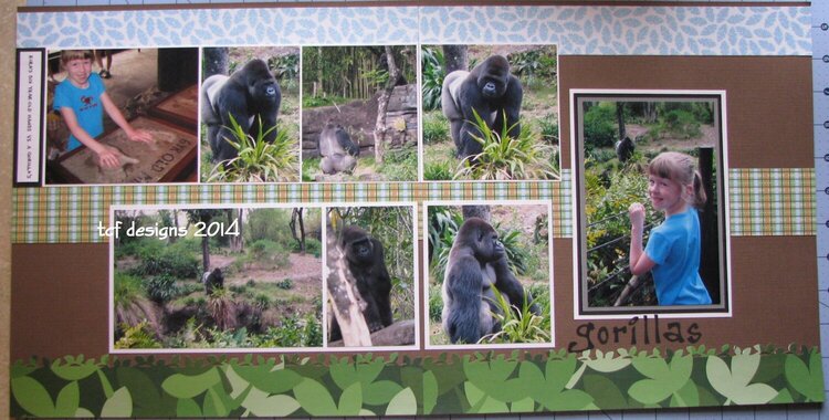 Gorillas