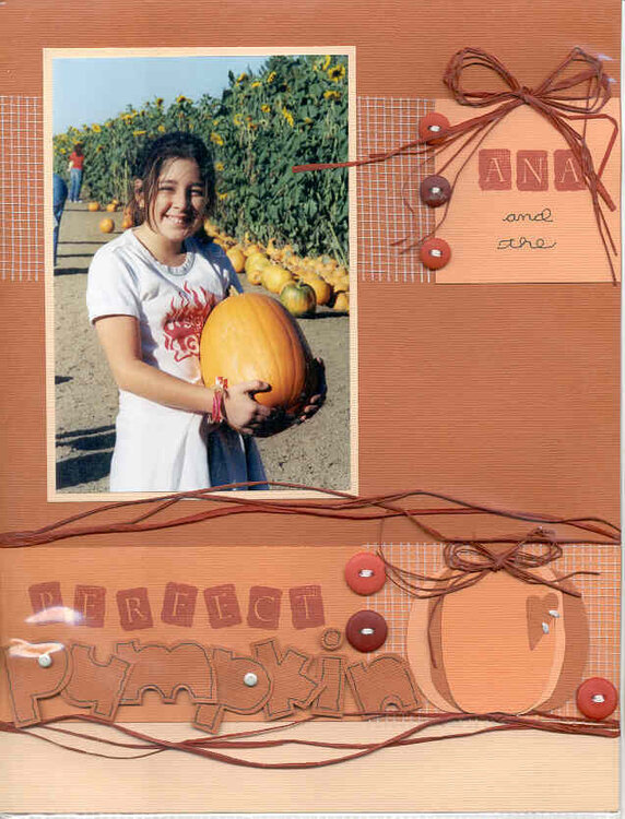 Ana and the Perfect Pumpkin