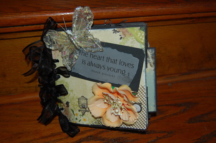 Romantic/Elegant Mini Paper bag Album