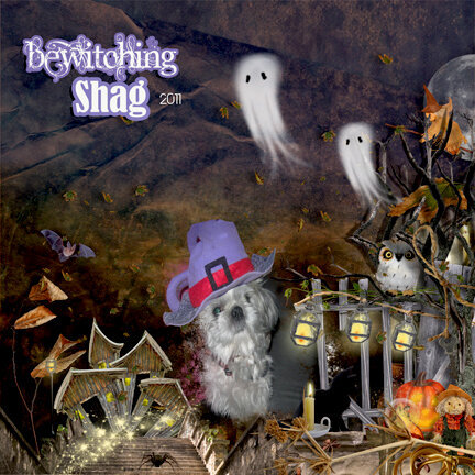 Bewitching Shagster 2011