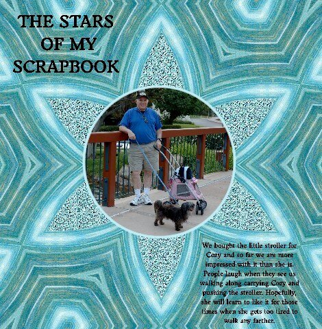 The Stars of My Scrapbook