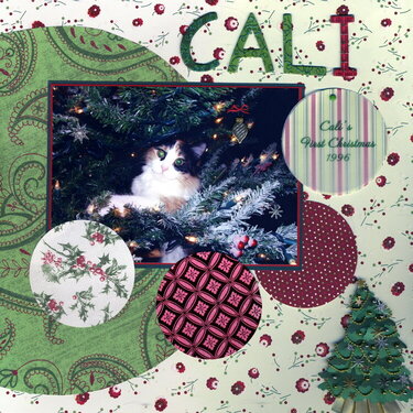 Cali&#039;s First Christmas