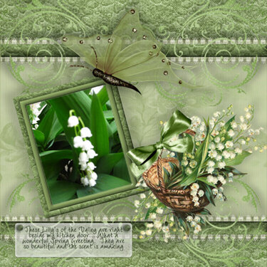lily of the Vally