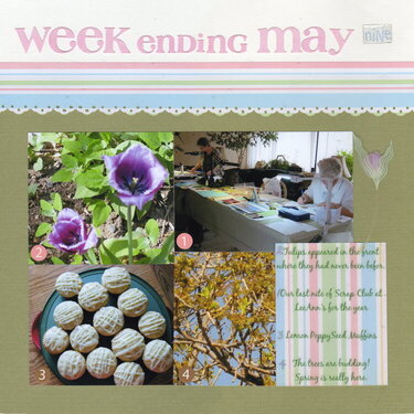 Project 365 Week ending May 9th #1