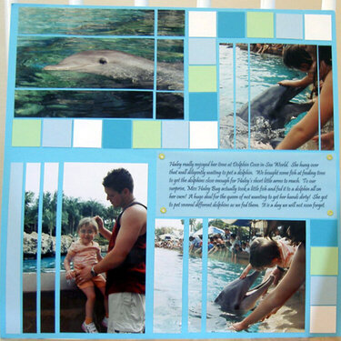 Dolphin Cove (page 2 of 2)