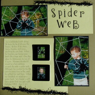 Spider Web