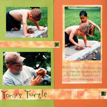 tony_s_turtle_page_1