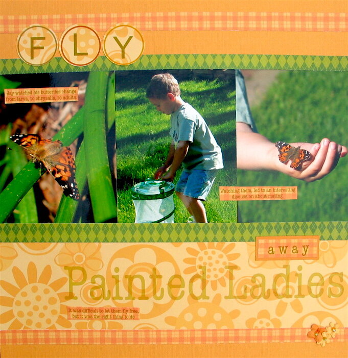 Fly Away Painted Ladies