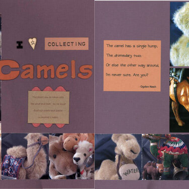 Camel Collection