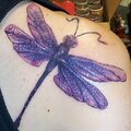 Dragonfly Tattoo for NSBR
