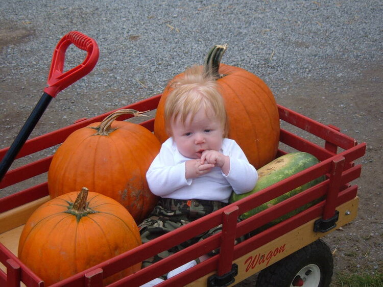 Keaton at the pumpkin patch