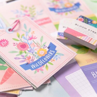 Essential Ingredients for Killer Mini Albums with Paige Evans | the Exclusive Mini Class from Scrapbook.com