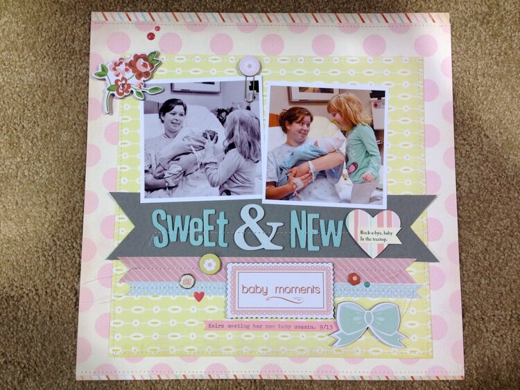 NEW CHA Winter 2014 Echo Park and Carta Bella sample projects