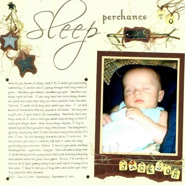 Sleep Perchance to Dream