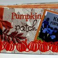 Pumpkin Patch Mini album
