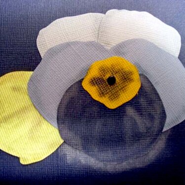 Mother&#039;s Day Pansy