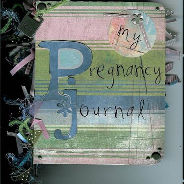 Altered Pregnancy Journal