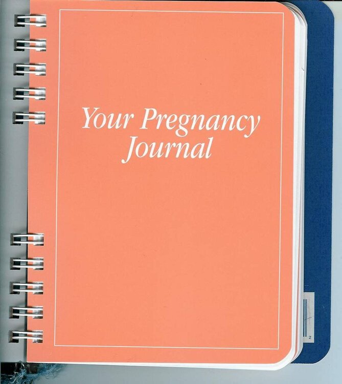 Altered Pregnancy Journal