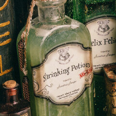 DIY Harry Potter Potions for Halloween: Shrinking Potion