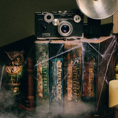 DIY Harry Potter Potions for Halloween: Book Shelf