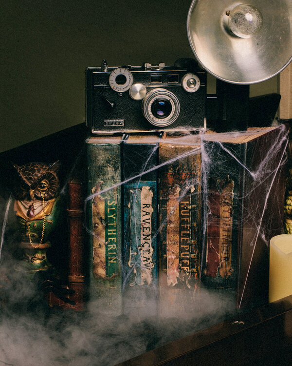 DIY Harry Potter Potions for Halloween: Book Shelf