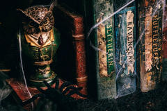 DIY Harry Potter Potions for Halloween: Book Shelf
