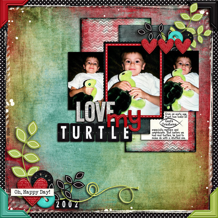 Love my Turtle