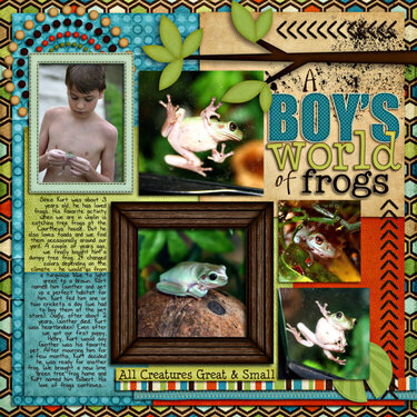 A Boy&#039;s World of Frogs
