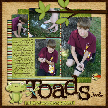Toads in Joplin